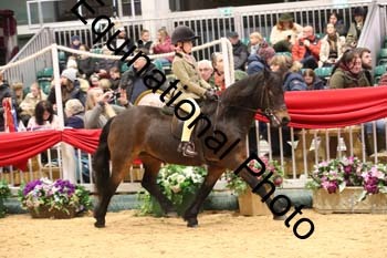 ERB-8598