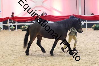 ERB-8650