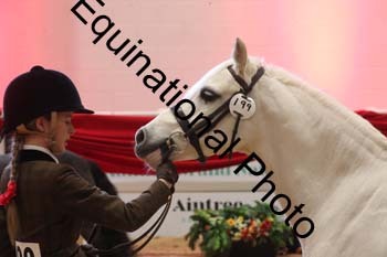 ERB-8651