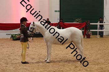 ERB-8656