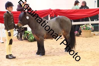 ERB-8665