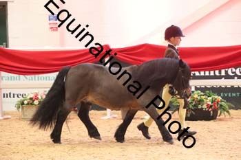 ERB-8669