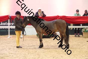 ERB-8676