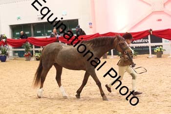 ERB-8678