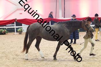 ERB-8680