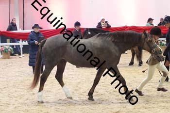 ERB-8681