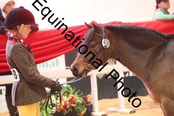 ERB-8684