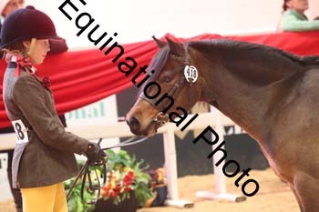 ERB-8685