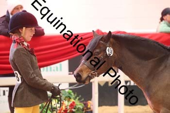 ERB-8686