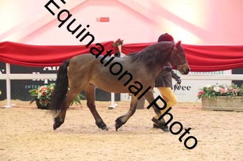 ERB-8687