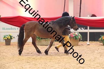 ERB-8688