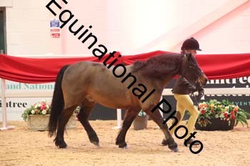 ERB-8693
