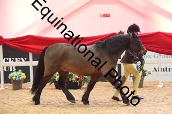 ERB-8694