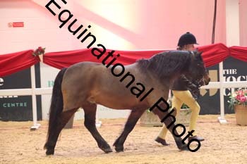 ERB-8695