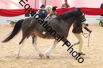 ERB-8696