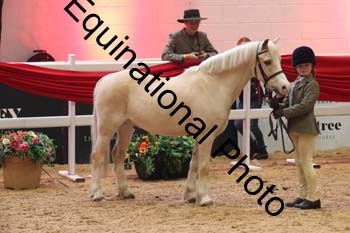ERB-8697