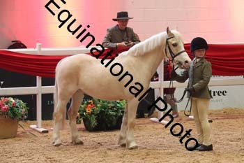 ERB-8698