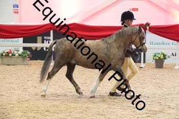 ERB-8706