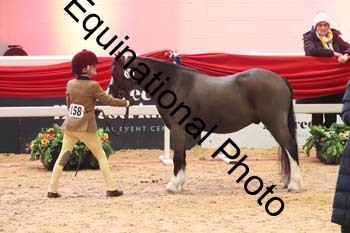 ERB-8707