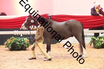 ERB-8708