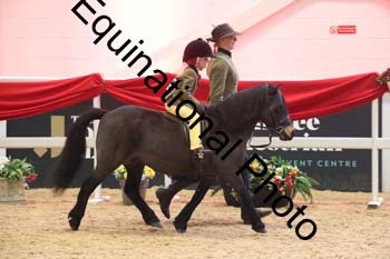 ERB-8716