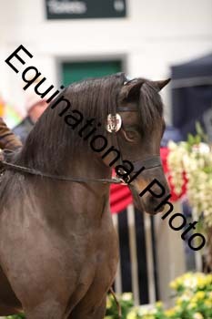 ERB-8728