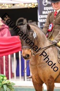 ERB-8798