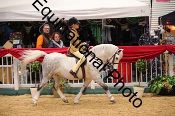 ERB-8838