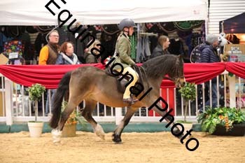 ERB-8848