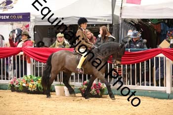 ERB-8863