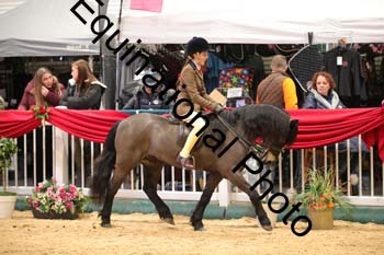 ERB-8864