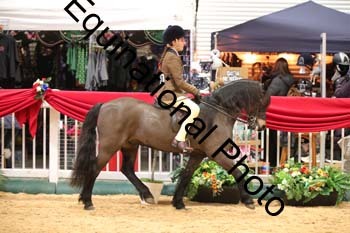 ERB-8866