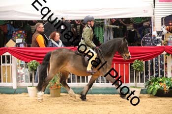 ERB-8876