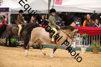 ERB-8884