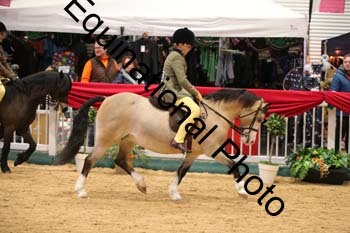 ERB-8885