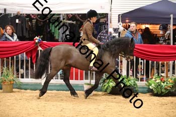 ERB-8886