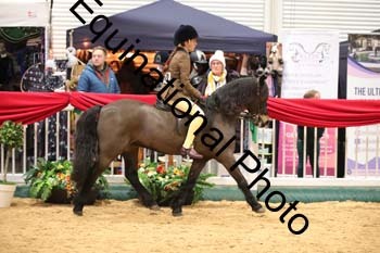 ERB-8887