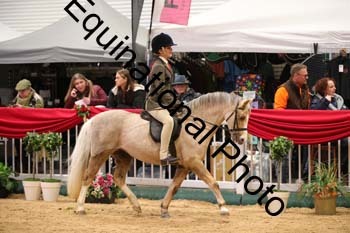 ERB-8908