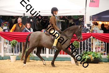 ERB-8918