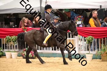 ERB-8933
