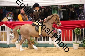 ERB-8936