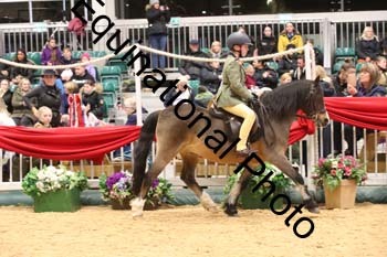 ERB-8953