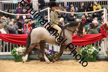 ERB-8988