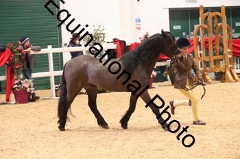ERB-9061