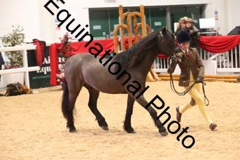 ERB-9062