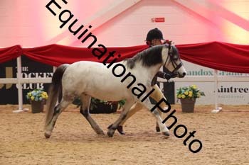 ERB-9067