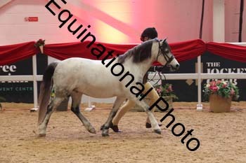 ERB-9068