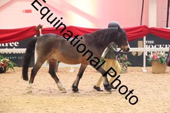 ERB-9123