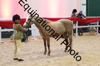 ERB-9137