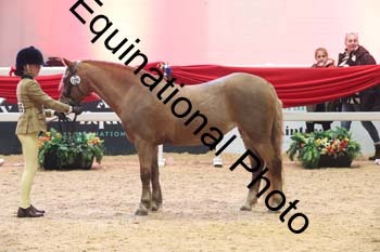 ERB-9147